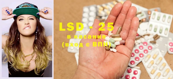 PSILOCYBIN Армянск