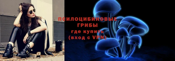 PSILOCYBIN Армянск